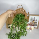 gallery-thumbnail