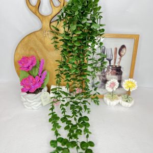 شمشاد سبز گره‌دار ۱۶ شاخه؛ جلوه‌ای طبیعی برای چیدمان آشپزخانه